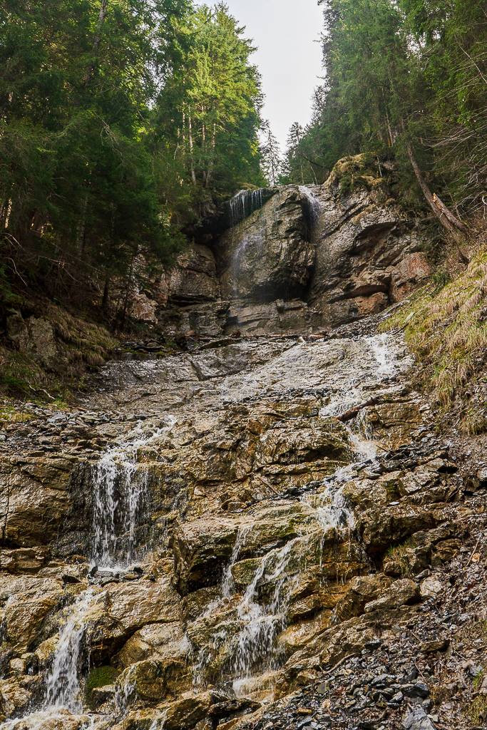 Water flowing over a cliff side, forest overhead