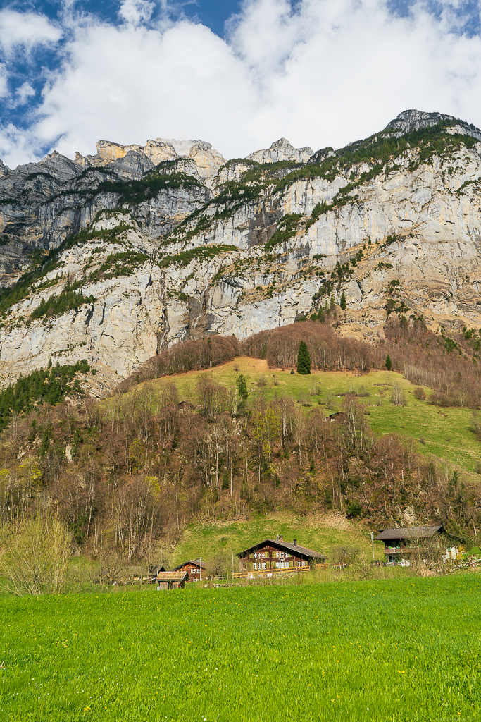 Looking back up at the waterfalls and mountain from the valley floor