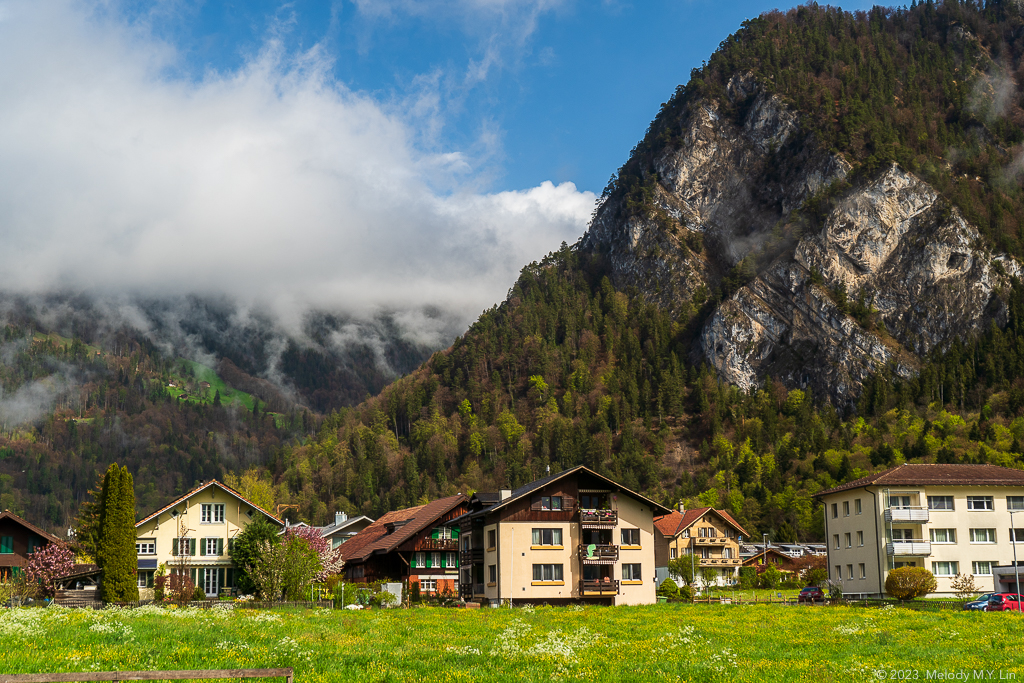 The houses of Interlaken sitting in a green meadow