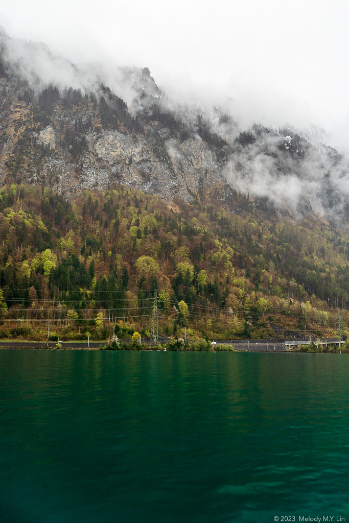 A view of the lakeshore and green lake water