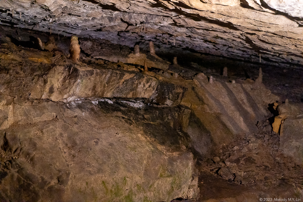 Small stalagmites forming