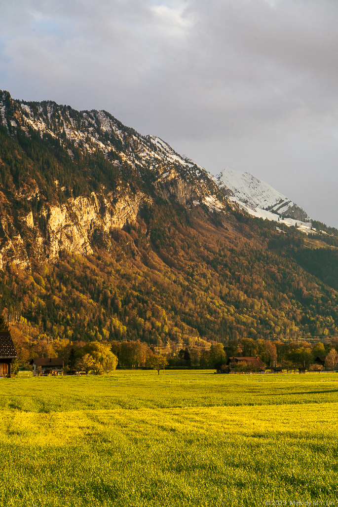 Alpenglow on the farm fields and surrounding mountains