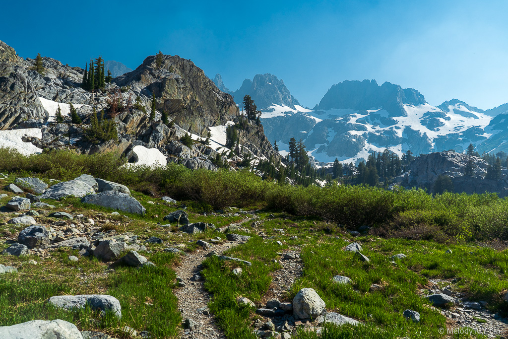 View of the trail leading into thickets