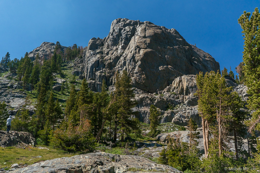 A large rock wall towers over our friend.