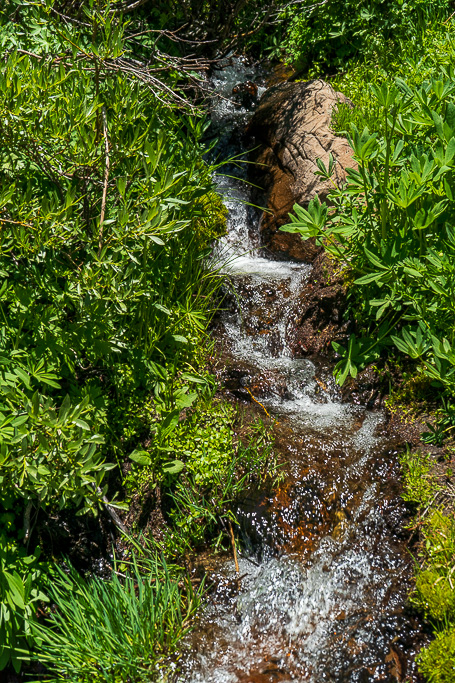 A stream cascading down the rocky steps.